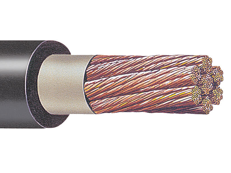 CABLE PORTA ELECTRODUCTO